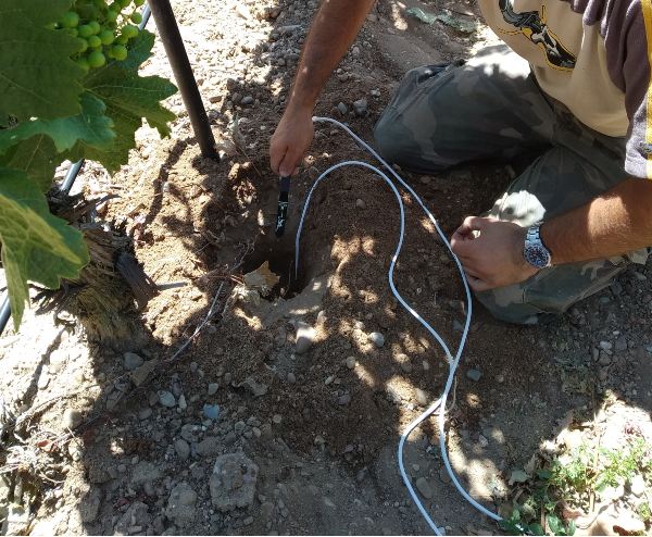 colocación de los sensores de humedad de suelo; (c) imagen interior de los dispositivos IoT, en la que se puede ver la placa, la batería y el bus de comunicación con los sensores