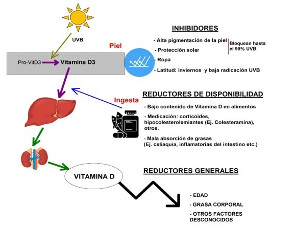 figura 1 del docente