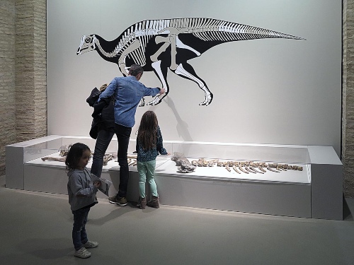 Museo arqueológico de Zaragoza