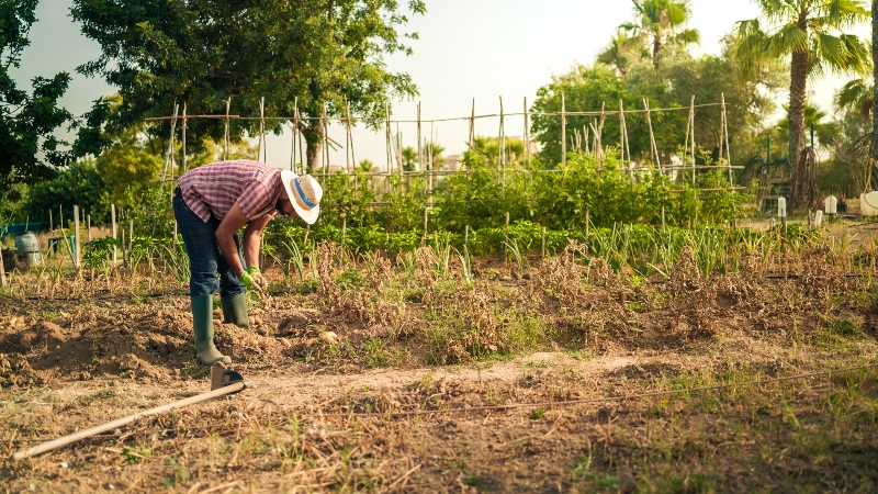 picaduras en trabajos de campo