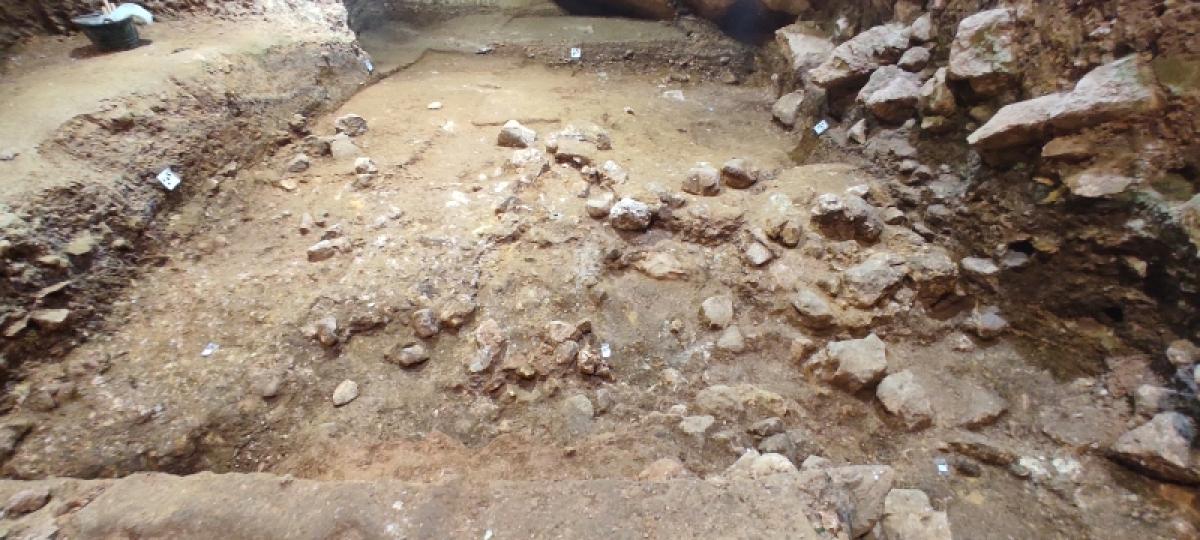 Nivel TE7 de la Sima del Elefante, donde ha aparecido el último hominino.