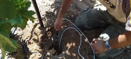 Sensor del proyecto TCUE en el viñedo de Anguix (Burgos).