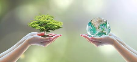 Metáfora sobre la tierra y la naturaleza