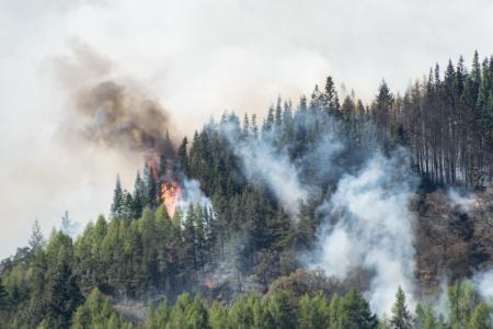 incendios forestales